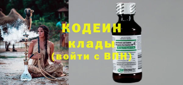 дмт Каменка