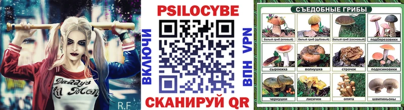 Купить  Данилов  Псилоцибиновые грибы прущие грибы 